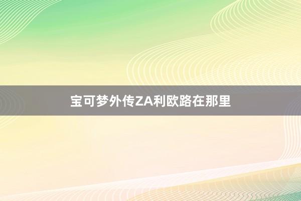 宝可梦外传ZA利欧路在那里