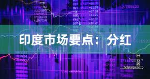 印度市场要点：分红